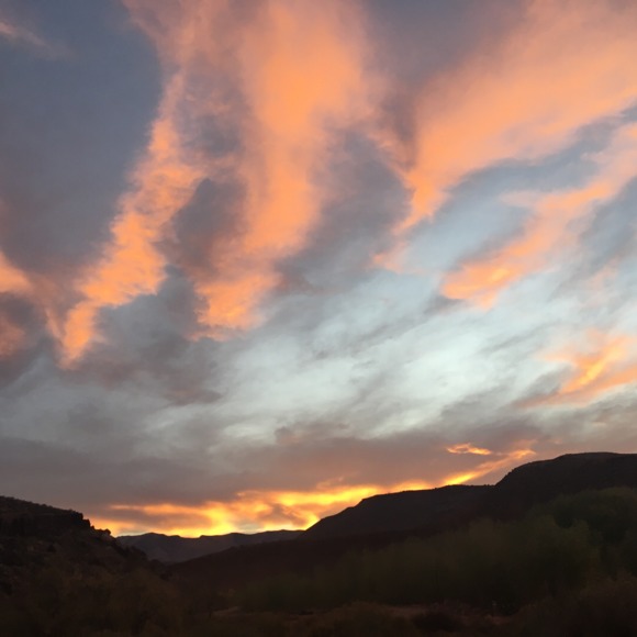 Meet your Posher, Danielle - Picture 1 of 1